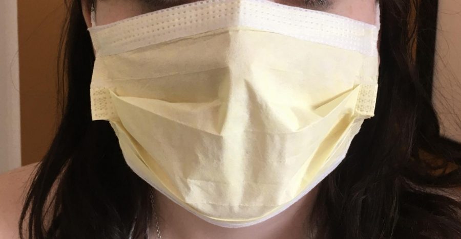 The wearing of masks was one issue that highlighted coronavirus concerns.