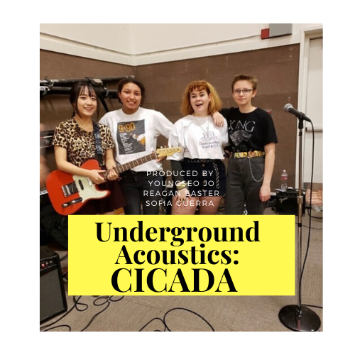Underground Acoustics: Cicada