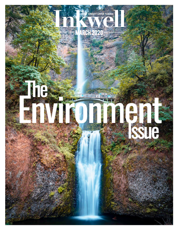The Environment Issue
