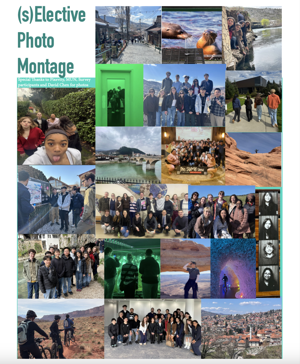 (s)Elective Trip Reflections